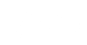 The Vision Logo White